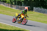 Middle 2 Group Yellow Bikes